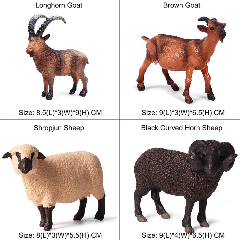 JOKFEICE Animal Figures 12 pcs Realistic Plastic Sheep Figurines Set Includes Shropshire Sheep - Image 3