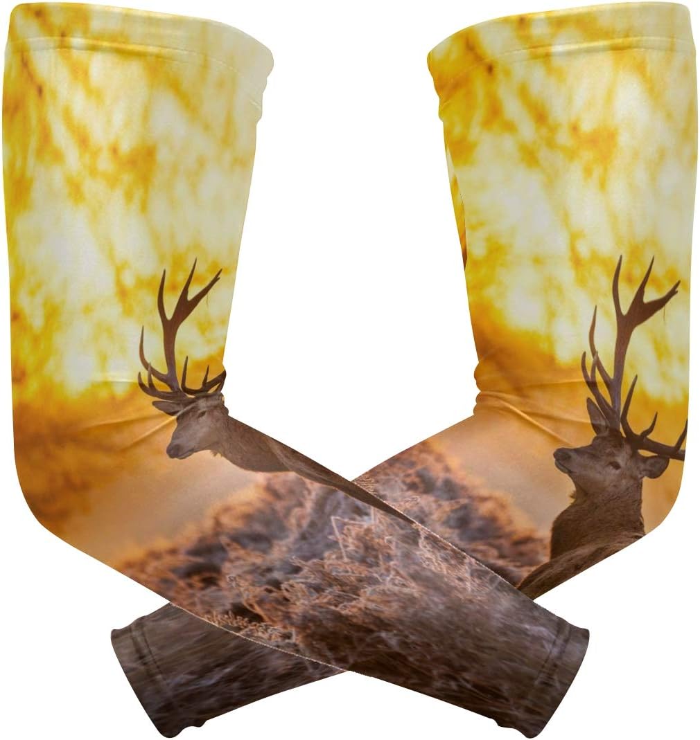 Which Is The Best Desoto Arm Cooling Sleeves