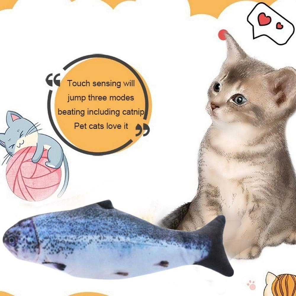Kcqnvrj72rhtsm Kcqnvrj72rhtsm