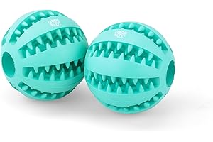 Good Scout Dental Balls for Dogs, Indoor and Outdoor Dog Ball Set with Gum-Massaging Rubber Teeth, 2-Pack, 6 cm/2.36 Inch