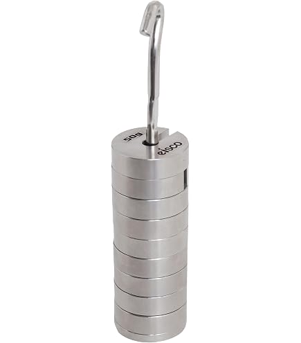 EISCO Slotted Weight Set, 100g - Brass - with Hook - Removable Weights -  10g Each: Amazon.com: Industrial & Scientific
