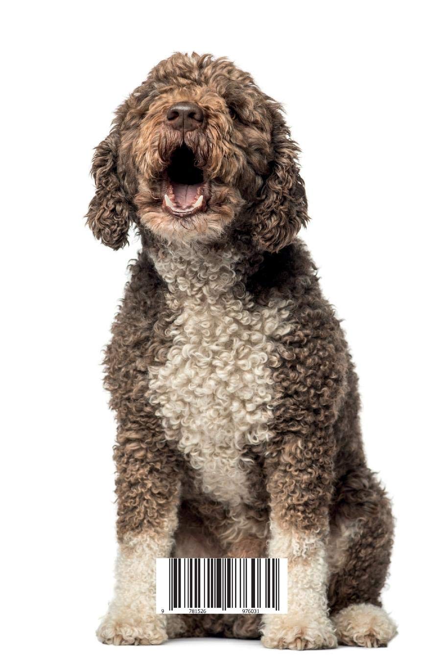 most effective tick treatment for dogs