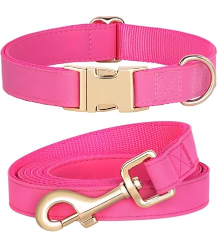 Amazon.com : Elegant Little Tail Pink Leather Collar and