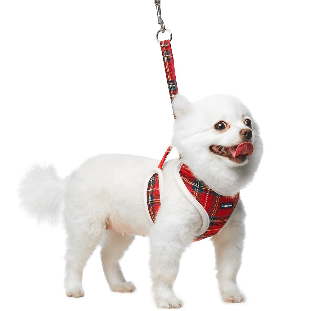 Small Dog Harness and Lead - Red Plaid Adjustable Vest for Puppy Cats Small Pets Cute and Soft