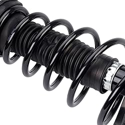 Torchbeam Rear Struts Assembly w/Coil Spring Shocks