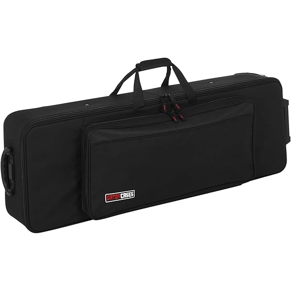 Amazon.com: Casio SC-900P Carry Case for Privia PX-S Keyboards
