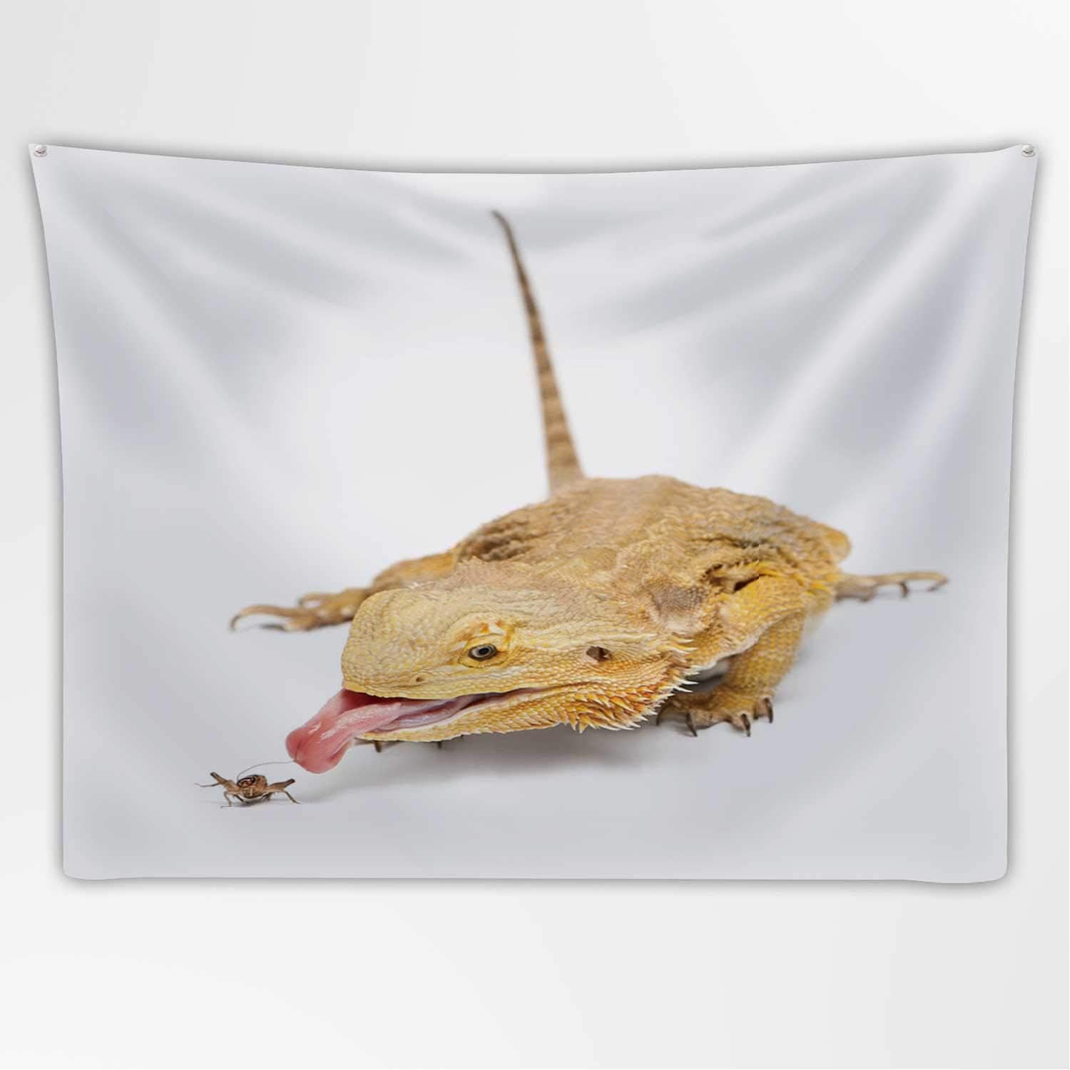 Amazon Com Central Bearded Dragon Tapestry Wall Hanging Pogona