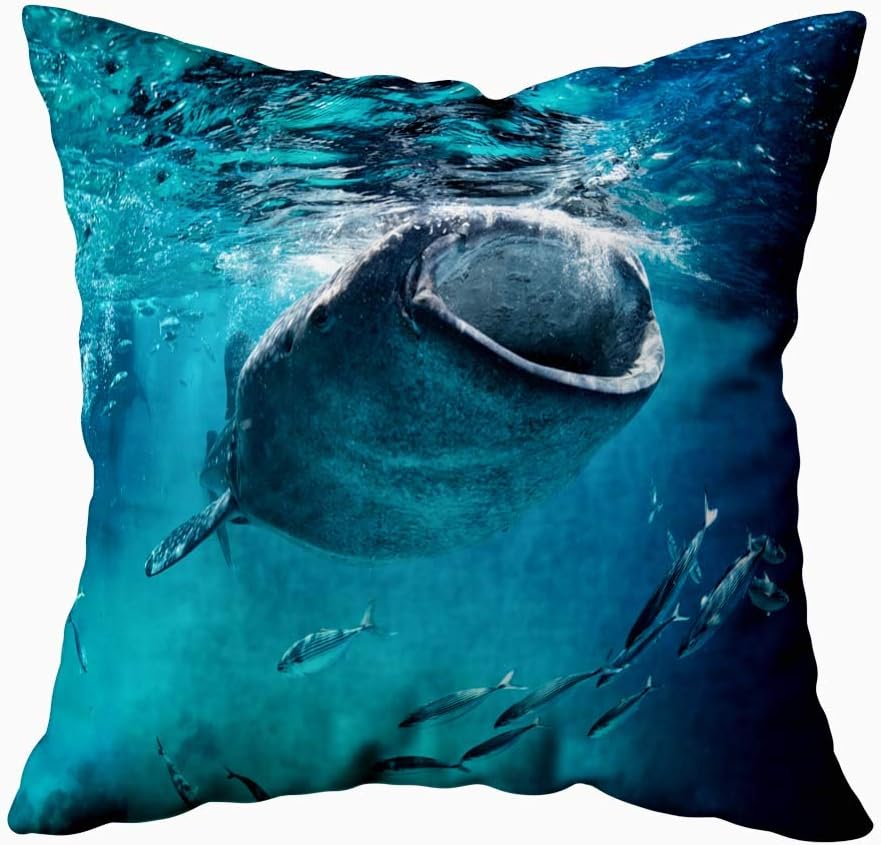 Musesh Kids Pillowcase Decoration, Outdoor Pillow Cases Whale Shark Eating Surface Fish Cool Decorative Pillow Covers 18X18Inch for Sofa Home