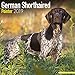 2024 2025 German Shorthair Pointer Calendar - Dog Breed Monthly Wall Calendar - 12 x 24 Open - Thick No-Bleed Paper - Giftable - Academic Teacher's Planner Calendar Organizing & Planning - Made in USA