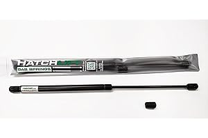 Hatchlift Products Gas Spring Strut 20" x 80 lb/352N – Heavy Duty Gas Strut Lift Support for RV Bed, Boat Hatch, Tanning Bed Shock, Heavy Lid, Door, Car, Camper Shell, Storage Box, Cabinet, Toolbox