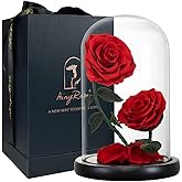 AINYROSE Gifts for Women Forever Preserved Red Rose,Birthday Valentines Day Gift with Red Eternal Flower in Glass Dome,Gifts for Valentine's Day Mothers Day Christmas Anniversary Birthday (#red)