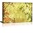 Botanicals With Abstract Gold Background - Canvas Art