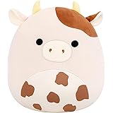 DragonVale World Gift Cards on Amazon: Options & Advice