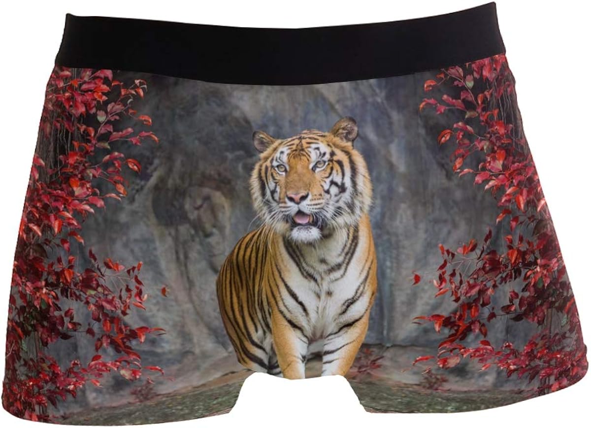 HAPPY SHORTS Boxer XMAS (4-St) Unterhose Unterwäsche Boxershort
