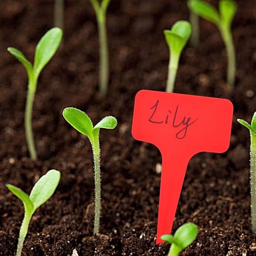 FABSELLER Etiquetas de plástico para Plantas, de la Marca, 6 x 10 ...