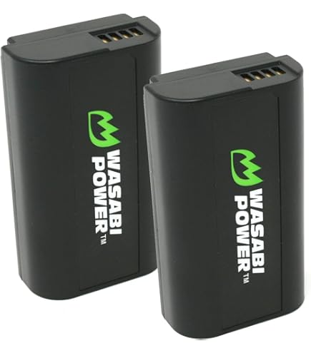 PATONA 2 Batterie Platinum Ricambio Per Panasonic DMW-BLJ31 - 3500mAh Per Lumix DC-S1, S1R, S1H - Alta Capacità - 3