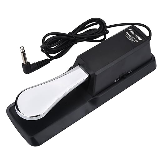 Keyboard Sustain Pedal, Universal Digital Piano Foot Pedal with Non
