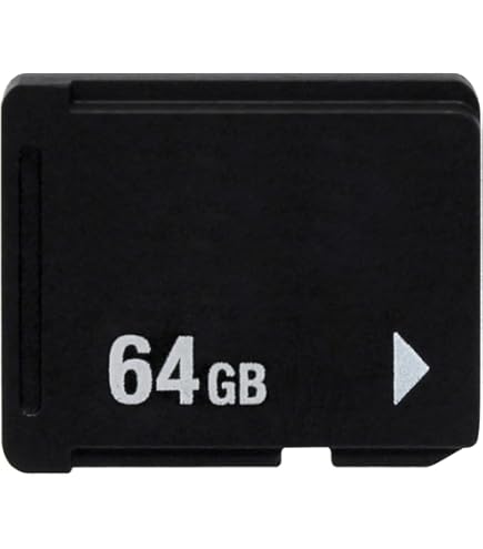 PlayStation Vita Memory Card 64GB (PCH-Z641G) : Amazon.ca