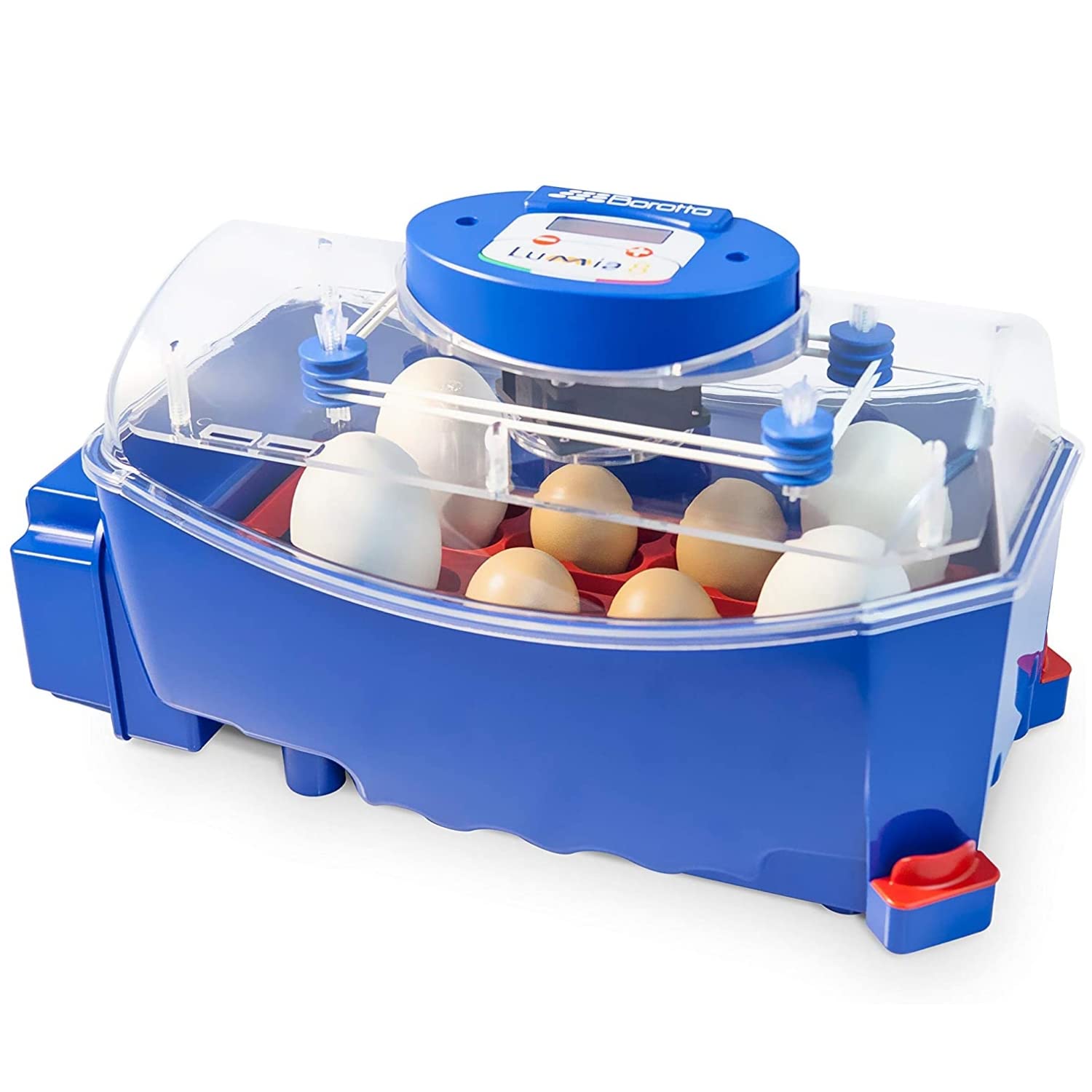 Borotto Automatic LUMIA 8 -Patented professional incubator, with automatic egg turning system - for 8 medium and large-sized eggs or 32 small-sized eggs