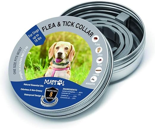 essential oil dog flea collar