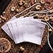WarmCrystal, Tea and Coffee Filter Bags, Disposable Tea Infuser with Drawstring for Loose Leaf Tea, Safe & Natural Material 100 pack (2.76 3.54)