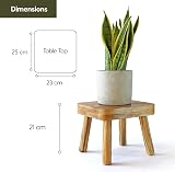 Eden Creations Small Wooden Stool, Plant Stand & Kids Step Stool 20cm view 3