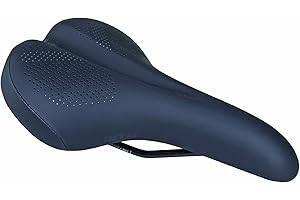 WTB Comfort Bike Saddle, Plush Thick Padding & Sporty Contoured Shape, Extra Wide 174mm Profile, DNA Padding & Microfiber Cov