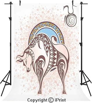 Amazon Com Zodiac Decor Photography Backdrops Ancient Horoscope