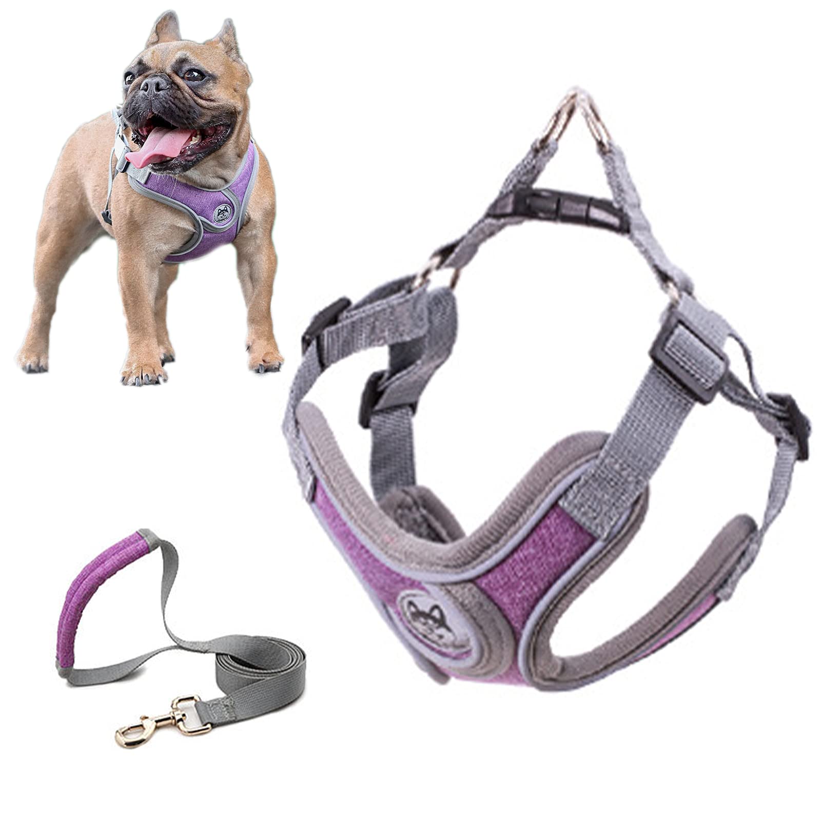 SKXEO Dog Harness Small Dog No Pull Harness and Lead Set Adjustable Breathable Reflective Lightweight Pet Vest Harness Escape Proof Dog Harness Easy Control for Outdoor Walking Training