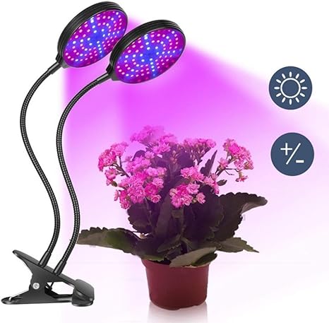 Amazon Co Jp Ledクリップ植物成長ライト屋内led工場ライトフルスペクトラム タイミング5速調光フィルライト植物の花多肉植物の温室効果 スポットライト Size 30w ホーム キッチン