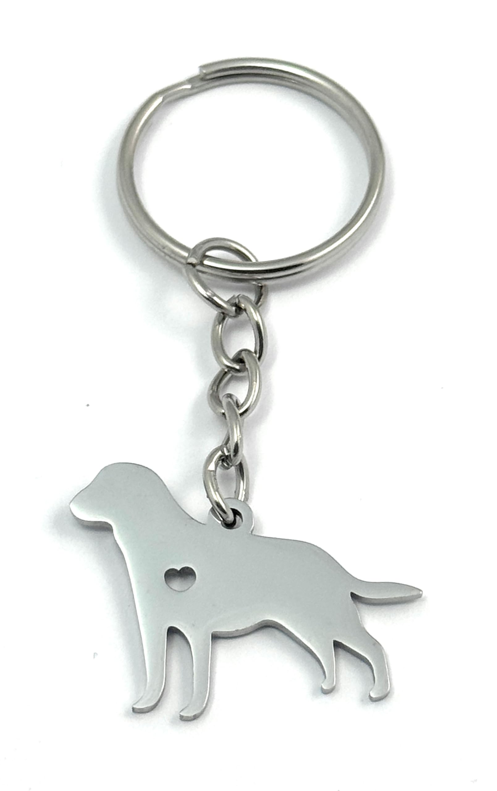 FizzyButton Gifts Labrador Retriever Puppy Dog Keyring Key Ring with Stainless Steel Silhouette Charm and Turquoise Gift Box