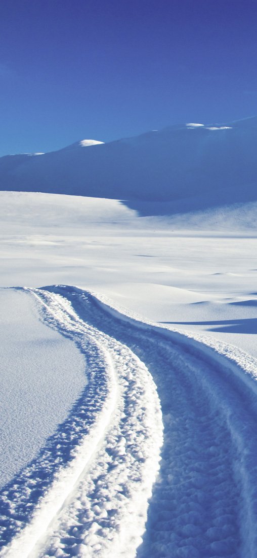 PeelitStickit Mural, Beautiful Nature Wall MuralsID-4225, vinyl