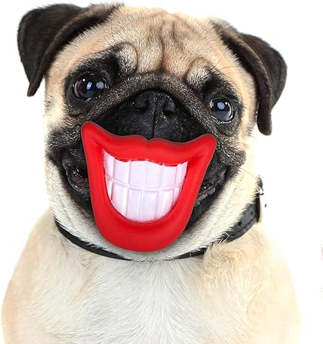 dog with big teeth smile