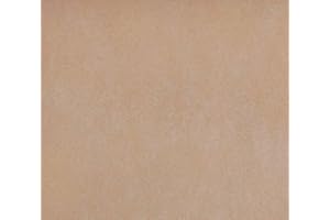 Concrete Stain Concentrate Just Add Water, User & Eco-Friendly Semi-Transparent Professional Grade Cement Stain, (8 Ounce, Buff) Concrete Resurrection Brand