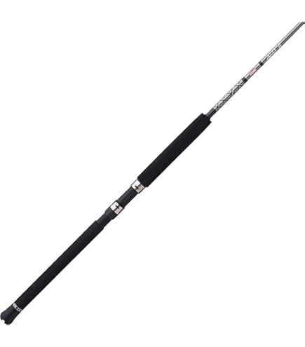 Amazon.com : Penn Prevail III 6' Boat Conventional Rod; 1-Piece