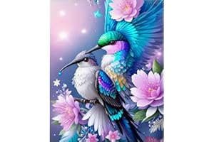 BOHADIY Hummingbird Diamond Painting Kits for Adults - DIY Birds Diamond Art Kits for Adults, Diamond Dots 5D Paint with Diamonds Pictures Gem Art Kits Crafts Kits for Adults for Wall Decor 12x16in