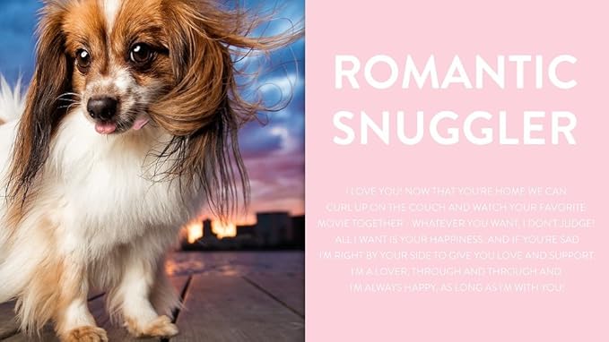 dog pedometer amazon