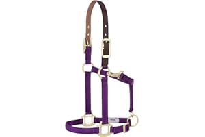 WEAVER LEATHER Weaver Equine Breakaway Horse Halter, Supple Leather Crown, Adjustable Chin & Throat Snap Halters for Horses, Equine Tack