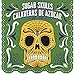 Sugar Skull 2020 Wall Calendar (English and Spanish Edition) by 