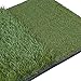 Nova Microdermabrasion Tri-Turf Golf Hitting Grass Mat Portable Golf Driving Chipping Mat Realistic Fairway & Rough w/Rubber Tee Holder for Backyard Outdoor & Indoor Practice (Hitting Mat)