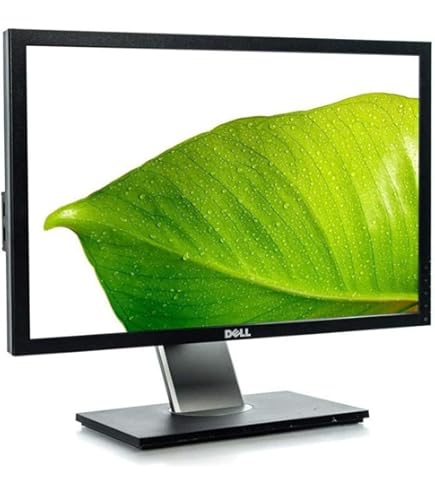 Amazon.com: DELL E2210H 22