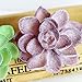 Fuyamp 5 Pcs Color Random Mini Fake Succulents Plants Unpotted Artificial Cactus Plants for Home Office Garden Decor (Style1)