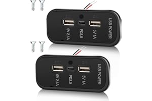 Gibbab 3 Ports 12V RV USB Outlet 45.5W, 2PCS PD3.0 Type-C Quick Charge & Dual USB A Port 3.1A Panel Wall Mount, Automotive Car Socket Charger Adapter for RV Marine Boat Bus ATV Motorcycle Truck