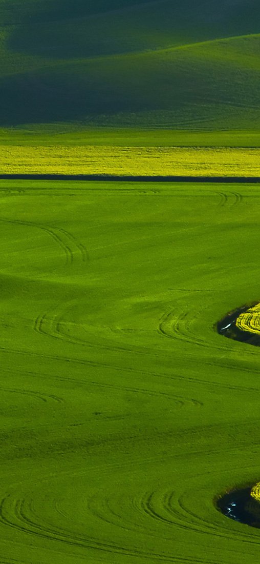 PeelitStickit, Beautiful Nature Wall Murals, ID-3179, vinyl