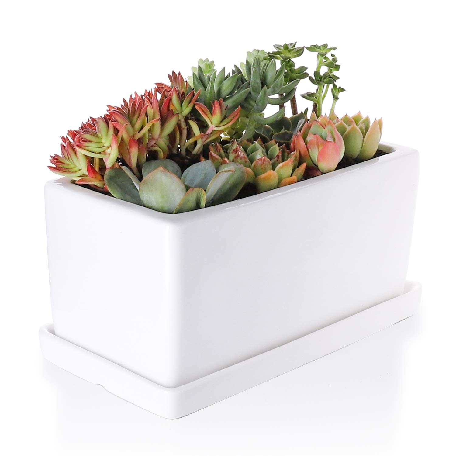 Plant Pots With Drainage Holes And Saucer Greenaholics
