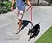 FuzzBunz Dog Leash Super Durable and Heavy Duty - 6ft Long Premium Quality Training Lead with Padded Handle & Reflective Stitching - Great for All Medium and Large Breeds