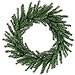 Northlight Mini Pine Artificial Christmas Wreath - 16