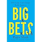 Big Bets: How Large-Scale Change Really Happens