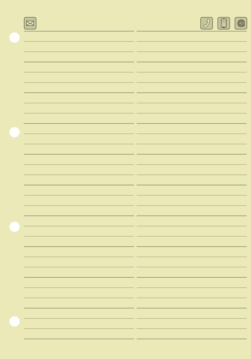 Baier Schneider &Insert for Phone, 100 sheets, 149 x 212 MM chamois, Pack of 1 (10 pieces )