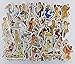 Cool Fun Vinyl Stickers Decals for Snowboard Skateboard Funny Sticker Bomb Pack (H)